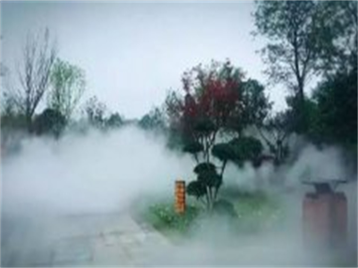 雾森系统